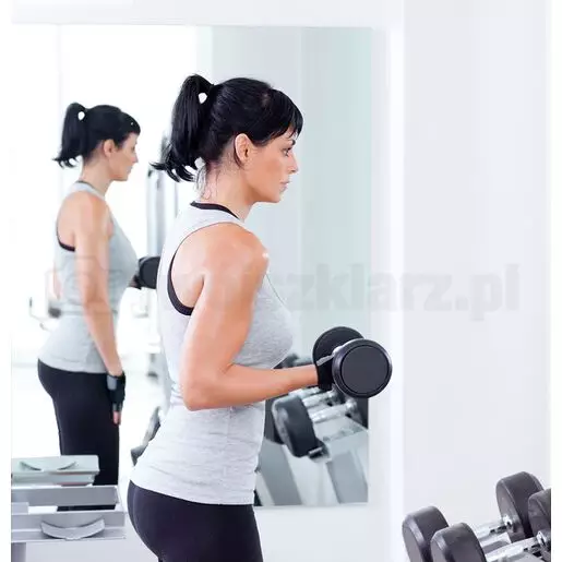 lustra do domowej siłowni