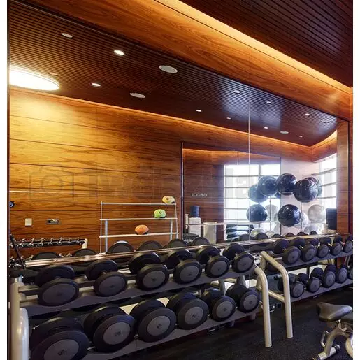 lustra do siłowni poziome